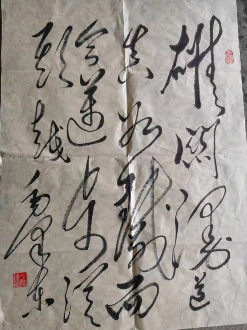 王庆镇——中宣盛世国际书画院会员、著名书画家