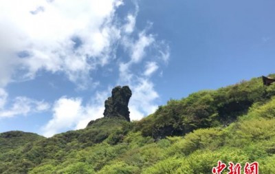 中国长江上游依托绿色屏障释放“生态红利”