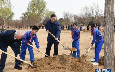 习近平:推动国土绿化不断取得实实在在的成效