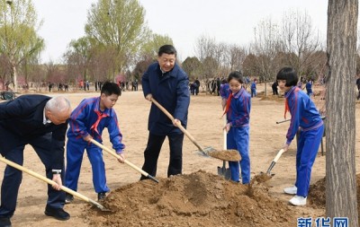 习近平：推动国土绿化不断取得实实在在的成效