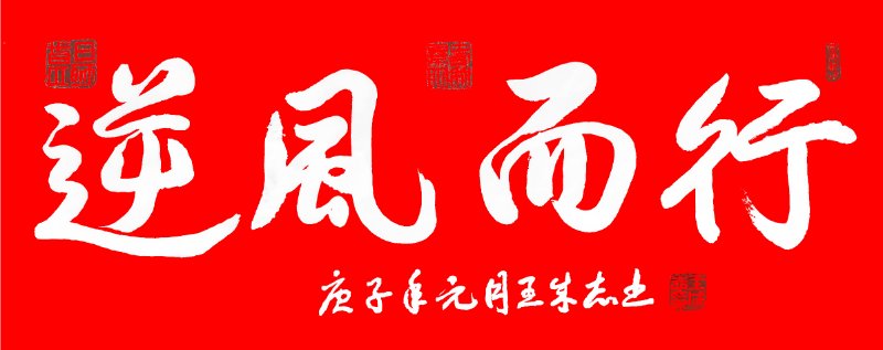 人民艺宣网2020年抗击新冠疫情优秀文艺作品展---王成志