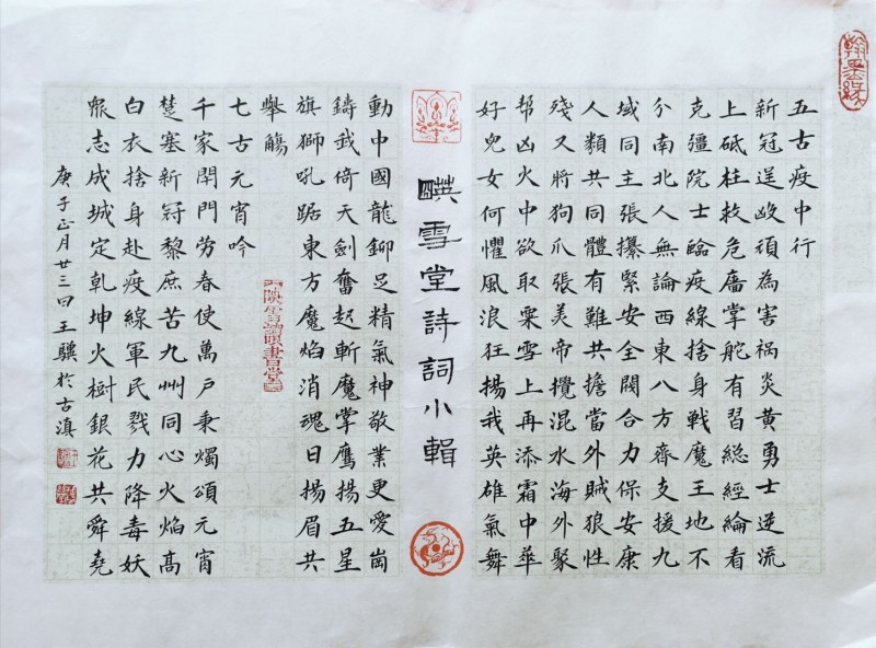 人民艺宣网2020年抗击新冠疫情优秀文艺作品展(十二)
