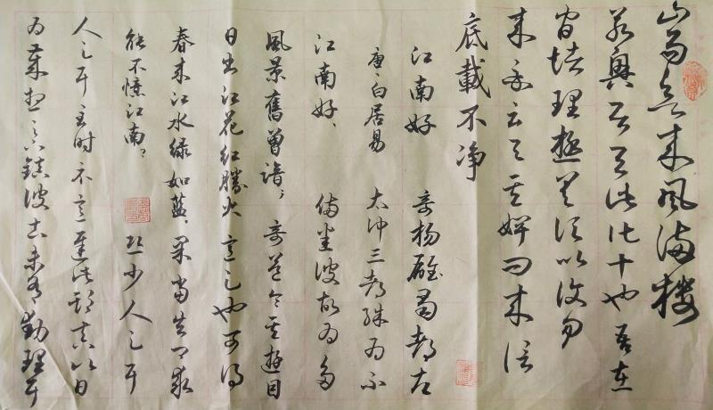 王华龙——中宣盛世国际书画院研究员、著名书画家