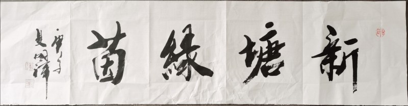 夏国祥——中宣盛世国际书画院会员、著名书画家
