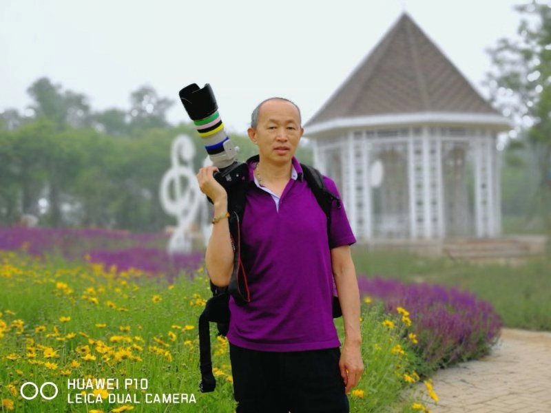 中国楹联学会中宣盛世文化艺术交流中心书画风采展示——隋郁