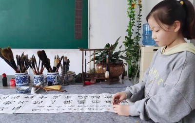 中宣盛世国际书画院青少年书画艺术风采展示—薛雨桐