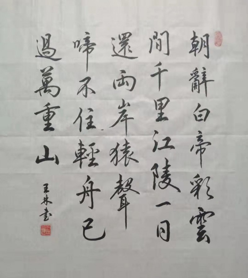 王林——中宣盛世国际书画院会员、著名书画家