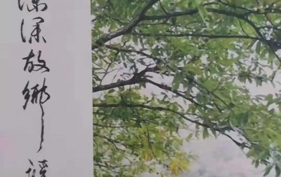 阅享时光‖武振江《但得清凉无非是,何须凭秤知两斤?——读原太吉仁兄<栎林深深故乡谣>印象》