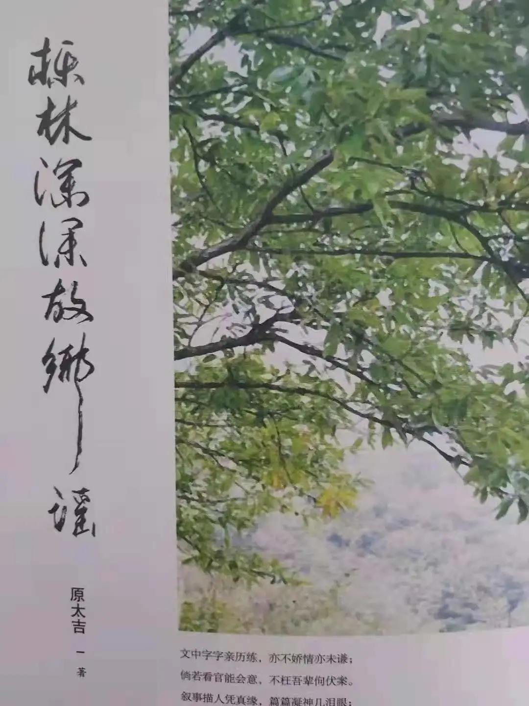 阅享时光‖武振江《但得清凉无非是，何须凭秤知两斤？——读原太吉仁兄<栎林深深故乡谣>印象》