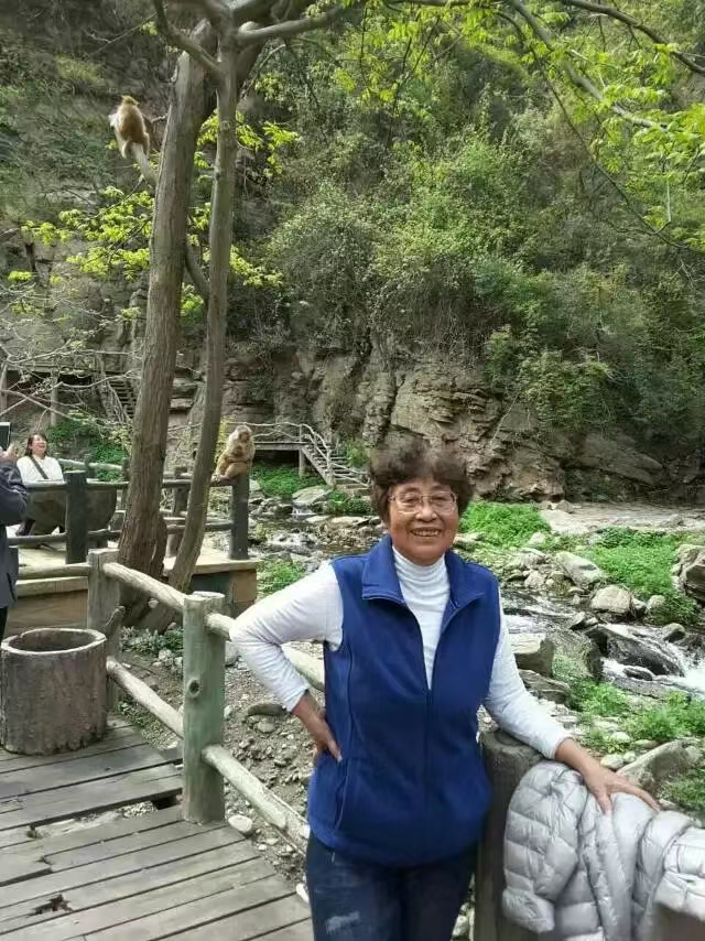 陈美玲——中宣盛世国际书画院会员、著名书画家