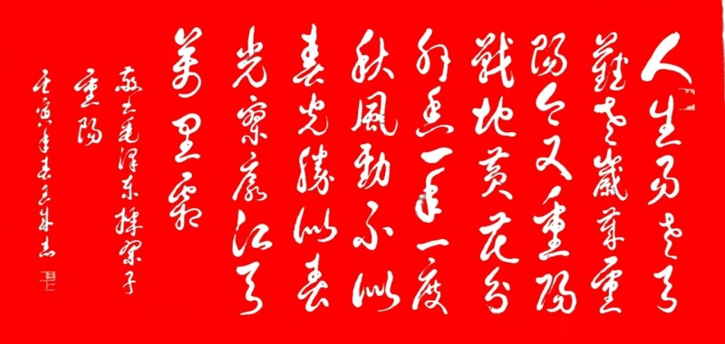 “文襄两会，艺颂国是”——「贴近祖国的心脏」倾听文艺的声音 王成志