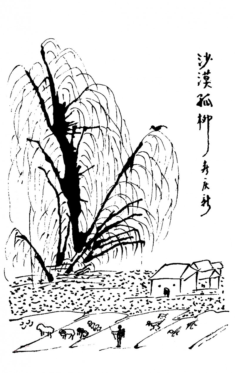 侯庆新书画作品欣赏（一）