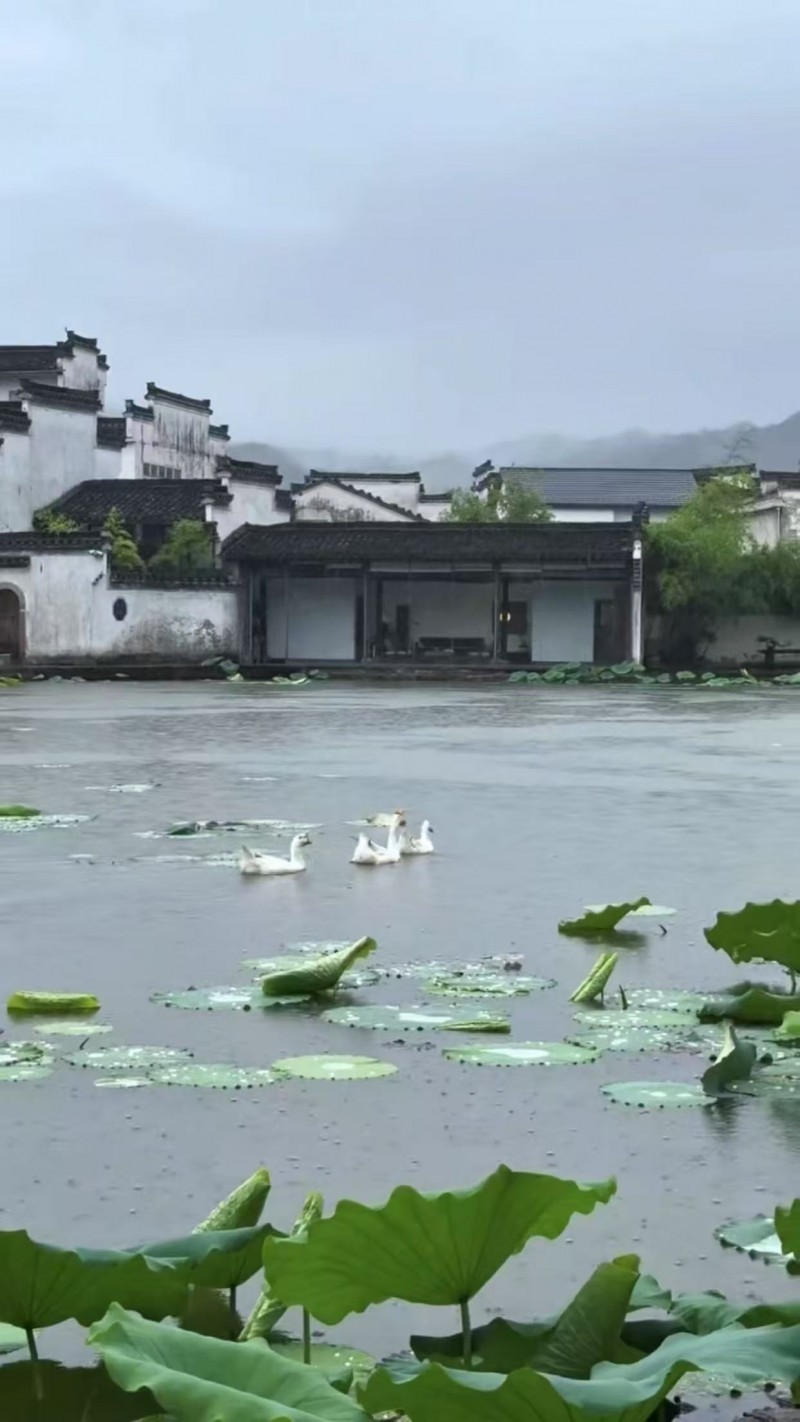 书画进万家 诗文颂山河 全国文化艺术名家大美黄山行