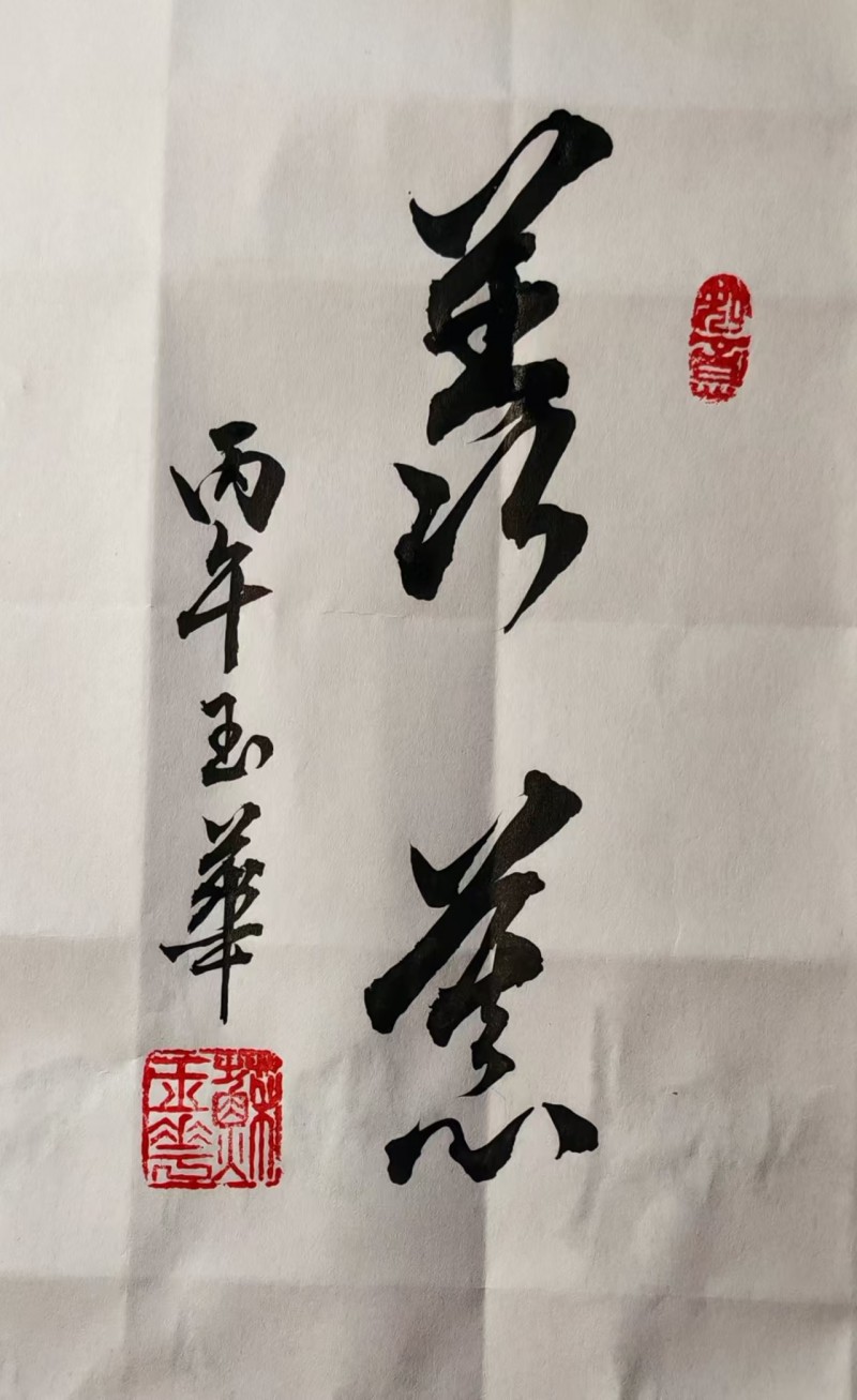 苏玉华——中宣盛世国际书画院会员、著名书画家